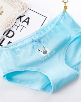 Mid-Waist Briefs Cotton Women’s Panties