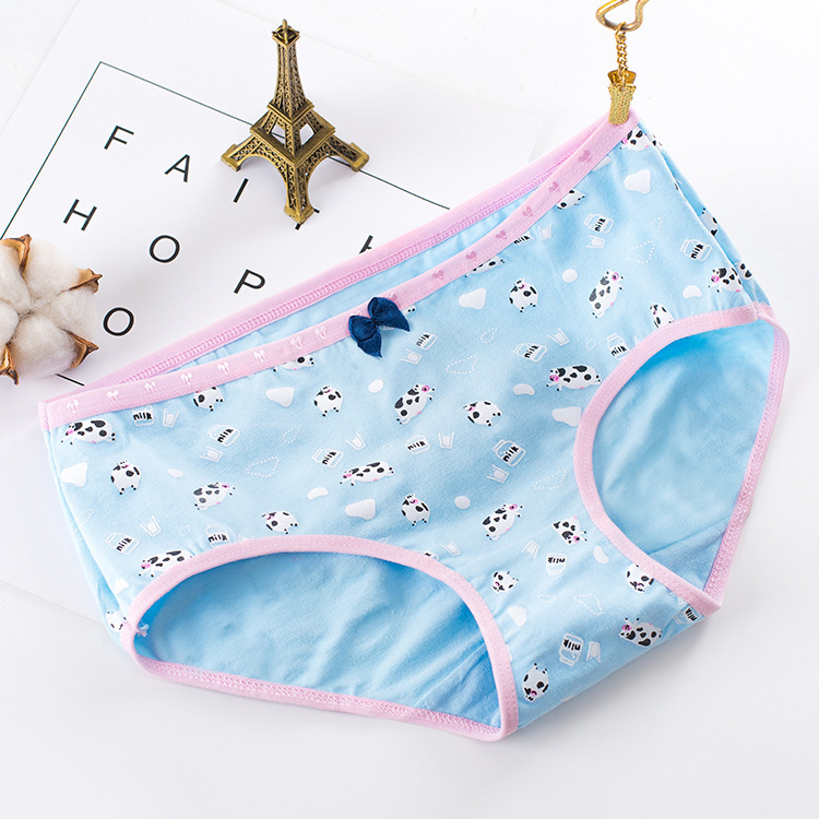 Mid-Waist Briefs Cotton Women's Panties - Image 4