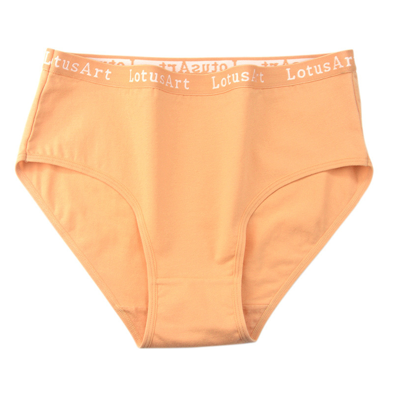 Women's Plus Size Cotton Mid-high Waist Underwear - Image 10