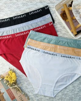 Women's Plus Size Cotton Mid-high Waist Underwear