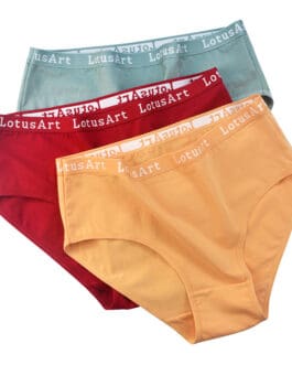 Women’s Plus Size Cotton Mid-high Waist Underwear