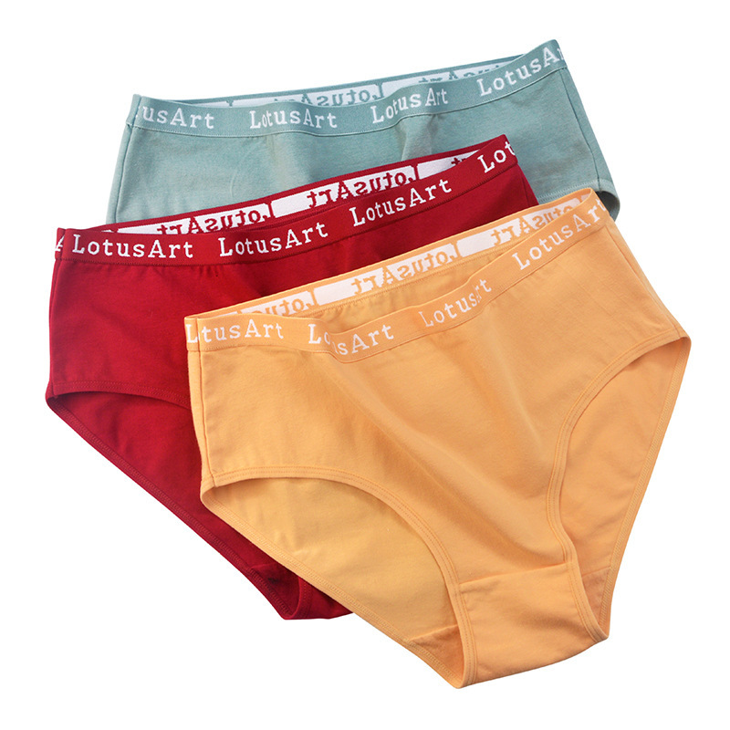 Women's Plus Size Cotton Mid-high Waist Underwear - Image 2